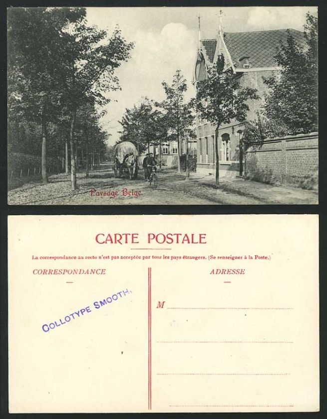 Paysage Belge Cyclist Bicycle & Horse Cart Old Postcard  