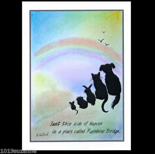 RAINBOW BRIDGE PET LOSS CARDS PACK BY SUZANNE LE GOOD  